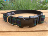 Scottish Tartan Dog Collar - Campbell