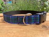 Scottish Tartan Dog Collar - Douglas