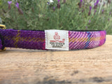 ‘Harris Tweed’ Dog Collar - Pink & Purple - Solid Brass
